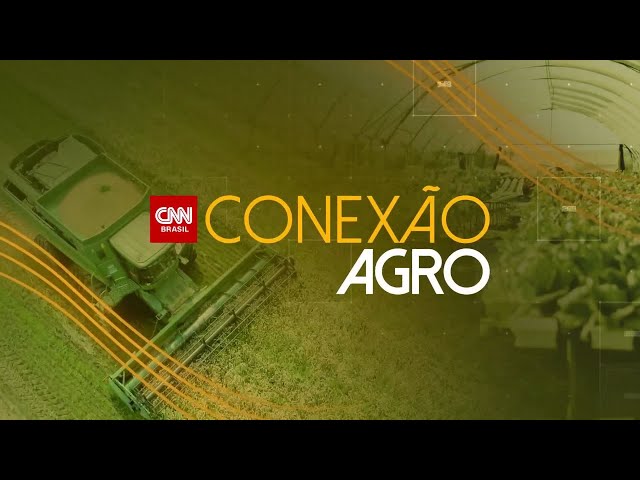 Custo do agro com escala 6x1 será repassado ao consumidor, diz Lupion | CNN NOVO DIA