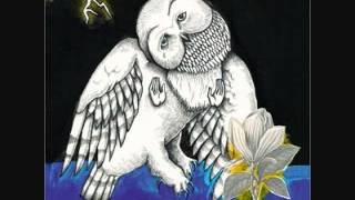 Songs: Ohia - The Big Game is Every Night