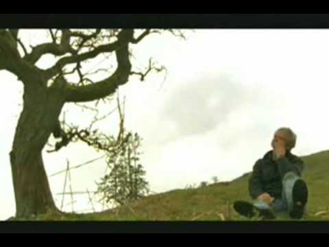 Andy Goldsworthy Fail