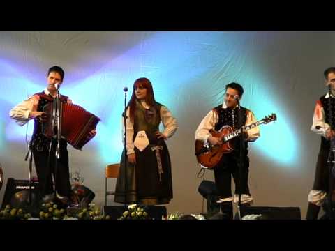 Trio Šubic & Ansambel Vihar-Zakladi Slovenije (v živo)
