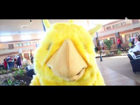 NEW AGE at Anime NebrasKon 2014!!!