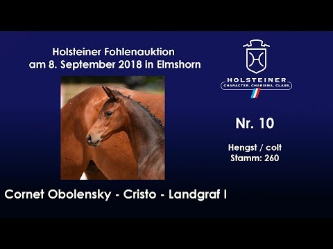 Holsteiner Fohlenauktion | Nr. 10 v. Cornet Obolensky - Cristo