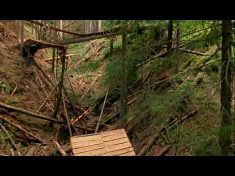 Robbie Bourdon,  Wade Simmons, Kyle Strait - New World Disorder 8