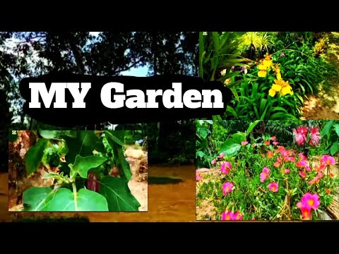 My  day work #vegetables #viral #nature #viralmusic 