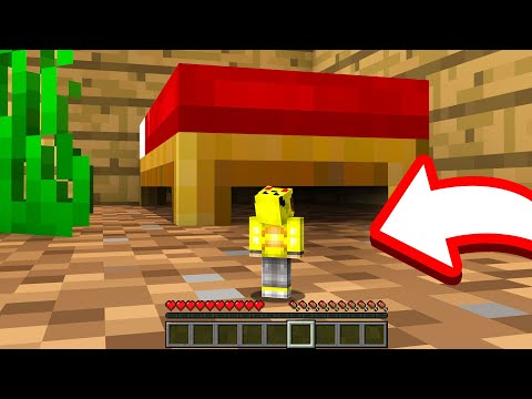 ISMETRG KÜÇÜCÜK OLDU! 😱 - Minecraft