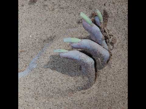 Video thumbnail for High Tide (Doss Remix)