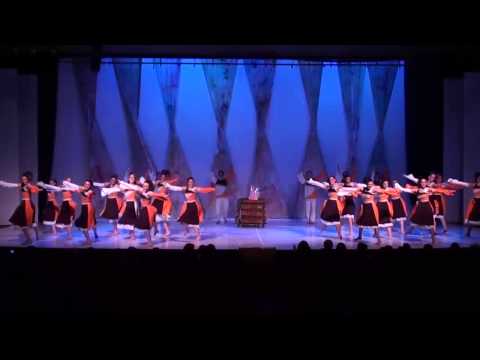 Lehakat Carmel - Show Simchá - Medurot