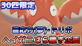 ヘイガニ ポケットモンスター メラルバ ゴルダック コータス ヘイガニ ポケットモンスター メラルバ ゴルダック コータス
