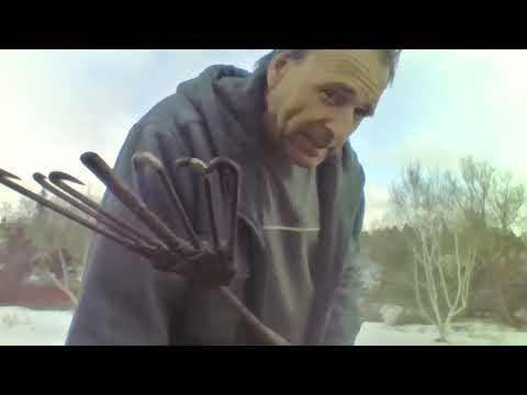 what an eel spear looks like