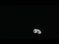 VeggieTales Eyes In The Dark 3