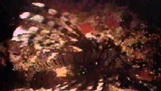 Moby - One Time We Lived (Christian Bergmann Remix)