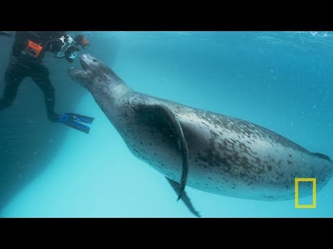 10 Cute But DEADLY Animals