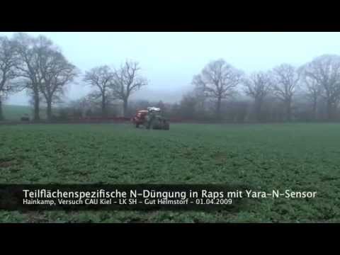 OFR Gut Helmstorf N-Düngung Winterraps 03-2009