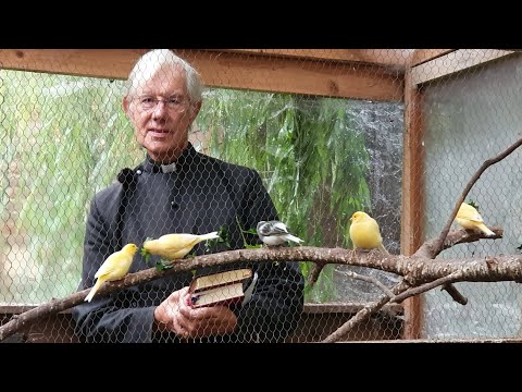 Morning Prayer – Sunday, 4th October 2020