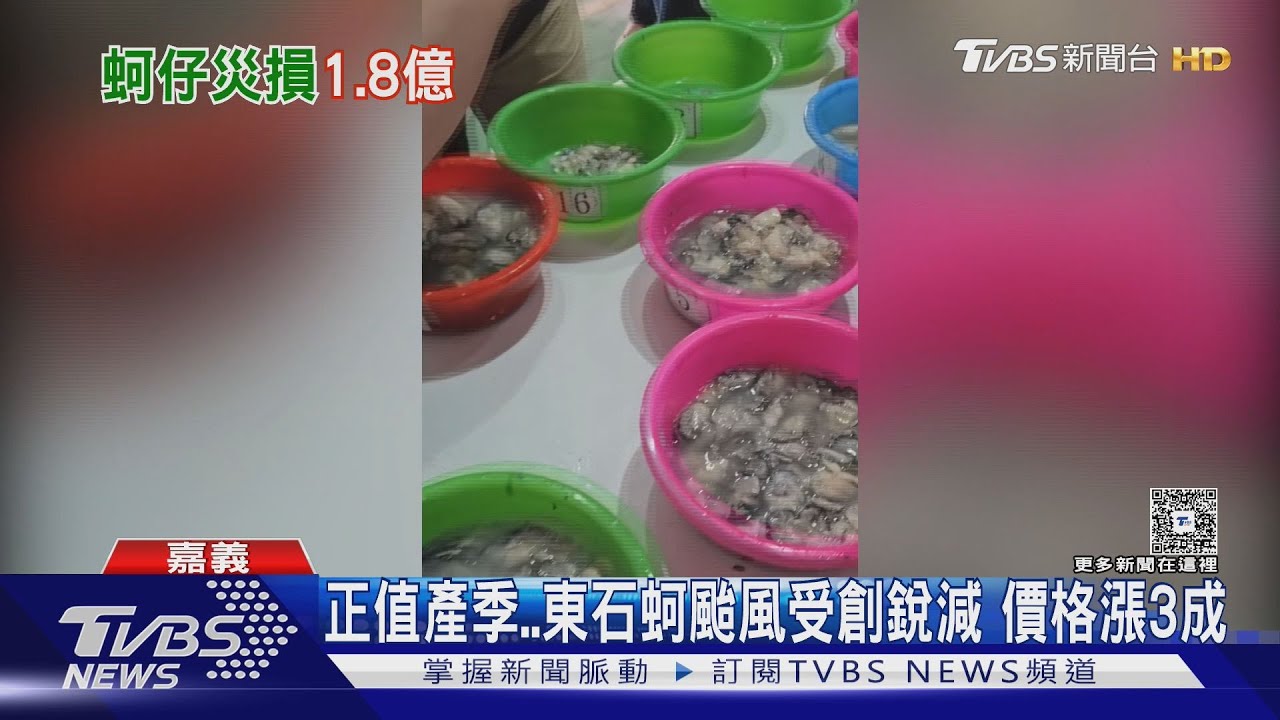 東石蚵仔風災受創價漲3成! 卓榮泰「私下行程勘災」鄉長怒