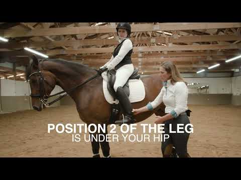 Mastering Advanced Lateral Movements - Elevate Your Equestrian Skills (Part 1)