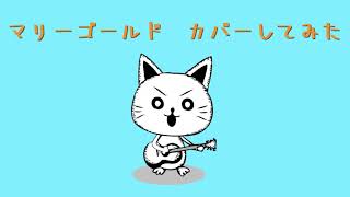 【acoustic cover】マリーゴールド/あいみょん 【ワンコーラスだけ】