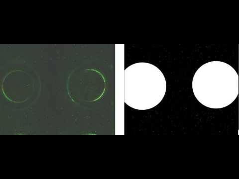 Particle Image Velocimetry