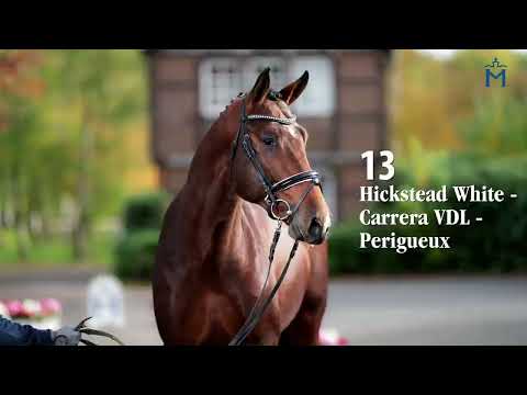 Nr. 13 gek./lic. Hickstead White/Carrera VDL