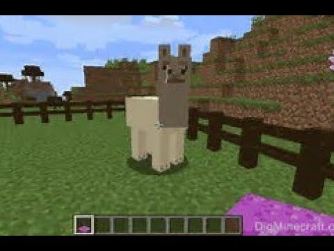 llama thief! Trollcraft ep.9