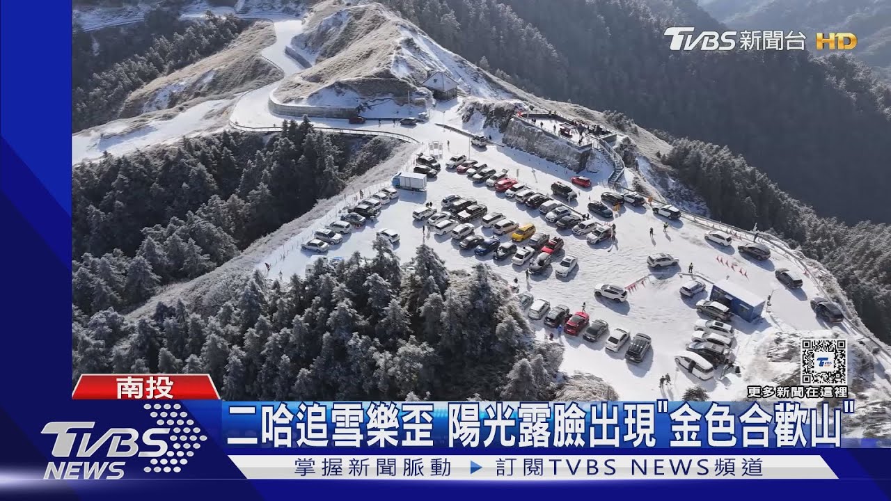二哈追雪樂歪 陽光露臉出現「金色合歡山」