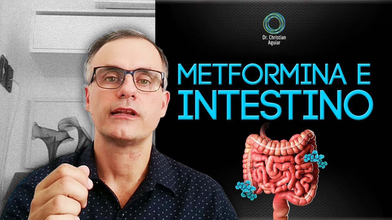 Metformina e Intestino
