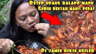 Download lagu RESEP BALADO UDANG MADU HASIL BURUAN BIKIN NGILER mp3