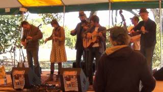 Evil City String Band 2-12-2012 at Virginia Key Grassroots Festival