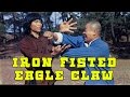 Wu Tang Collection Iron Fisted Eagle Claw