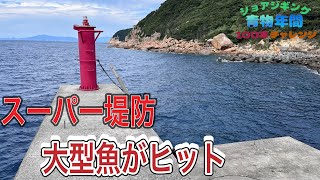 高知のスーパー堤防で大型魚がヒット！【ショアジギング青物年間100本チャレンジ#131】