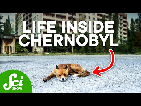 5 Ecosystems Thriving in the Least Likely Places