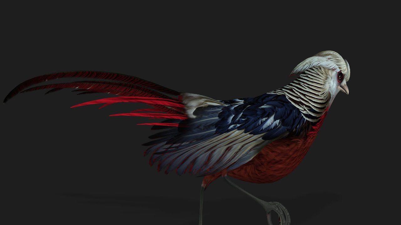 PheasantA2 3D Model