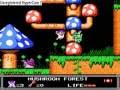 Little Nemo: Dream Master (NES) Dream 1 & 2 ...