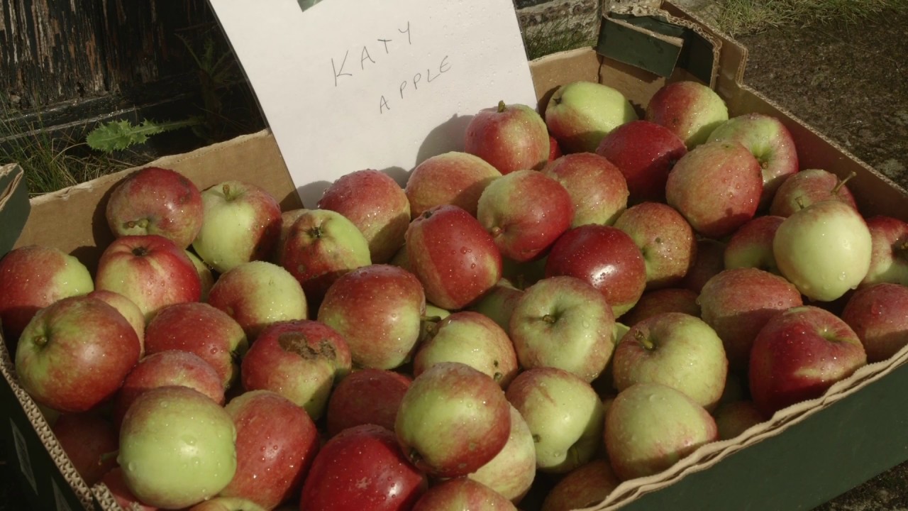 Tutorial for facilitating an ‘Exploring Community Resilience’ workshop'