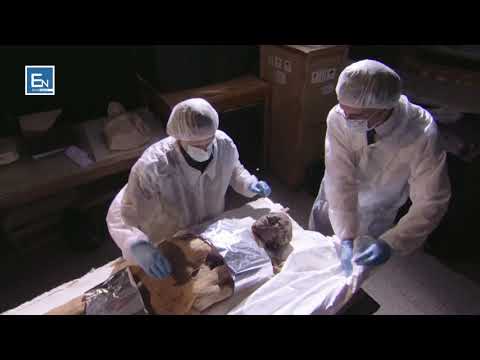 Shkencetari i njohur studion mumjen e Faraonit qe permendet ne Kur'an! Zbulimi ishte mahnites!