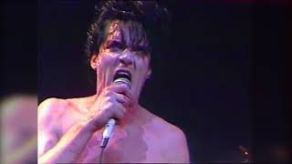 The Cramps &quot;People Ain&#39;t No Good&quot;  Rennes 1986