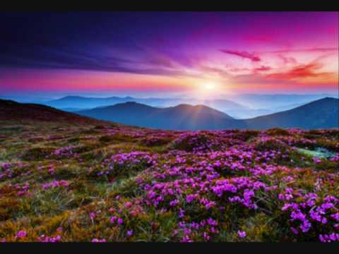 TOGAHAU 2016 MOTOI HEA