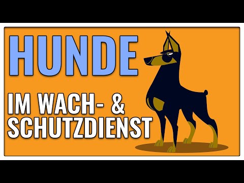 DIESE Rassen eignen sich als Wachhunde - TGH 376