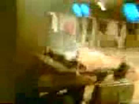 Gobithan der æder en delikat rugbrøds mad...