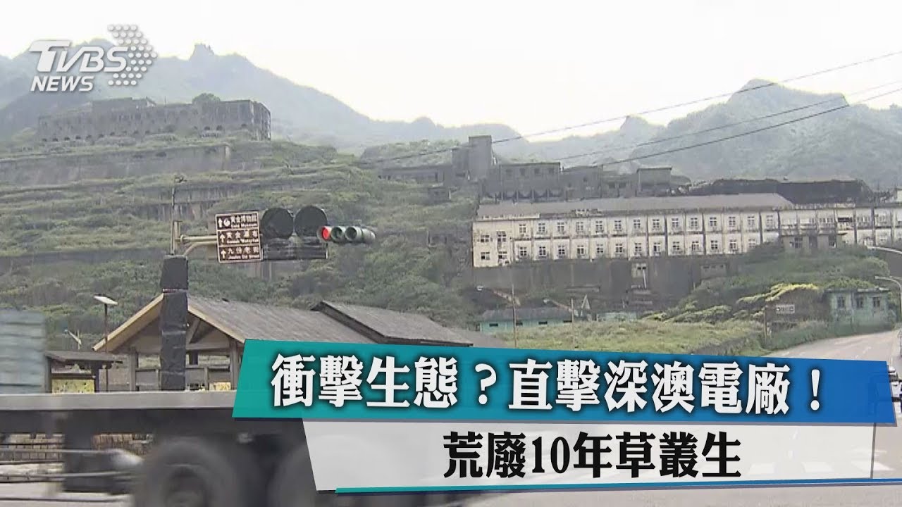 衝擊生態?直擊深澳電廠 荒廢10年草叢生