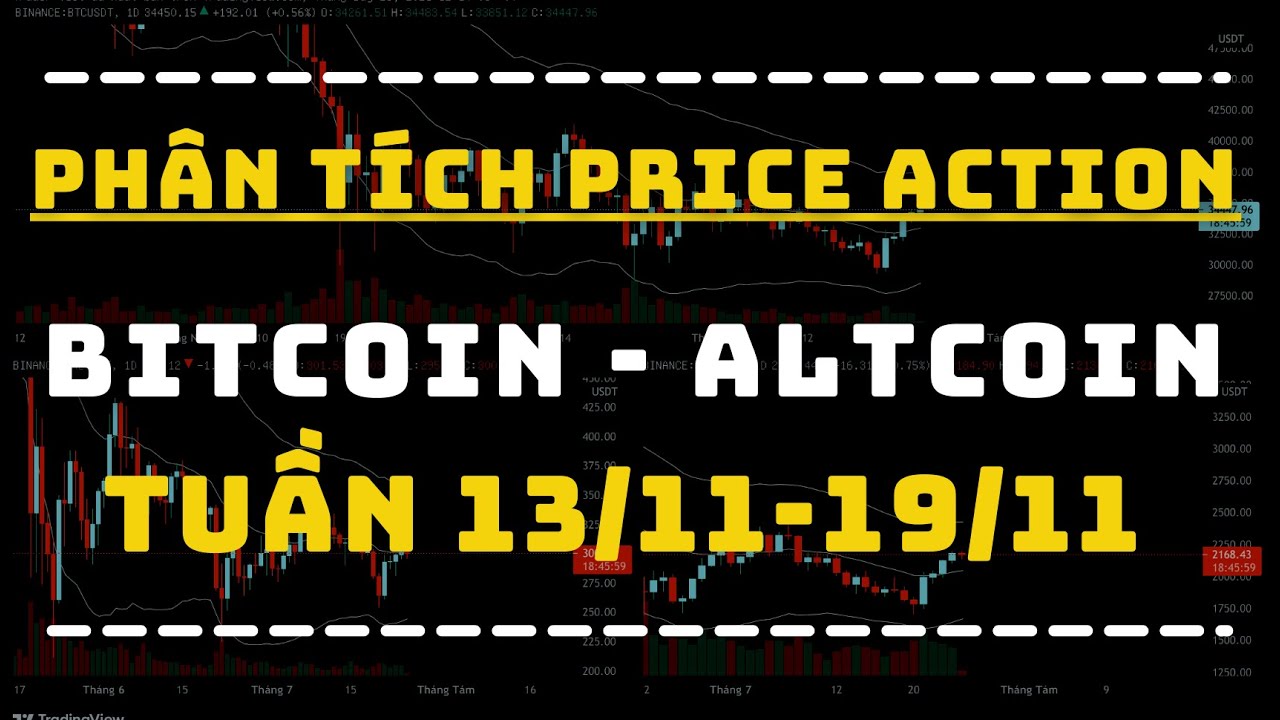 Phân Tích BITCOIN - ALTCOIN Theo Price Action Tuần 13-19/11