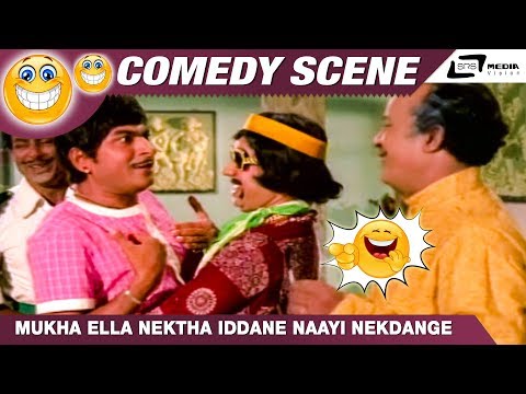 Mukha Ella Nektha Iddane Naayi Nekdange | Bangarada Panjara | Dr.Rajkumar|Shivaram|Comedy Scene-2