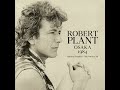 Robert Plant - Messin' With The Mekon