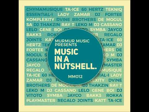 DJ Thakzin feat. Ray T & Leko M - Closer (Original)