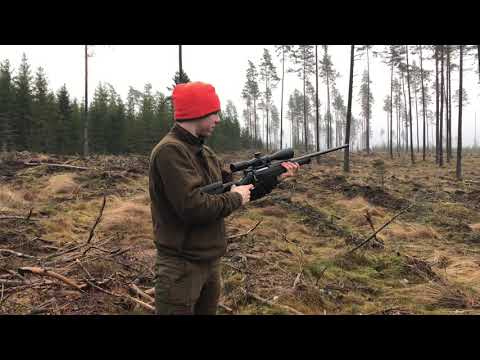 Sauer 404 Synchro XT speed shooting test