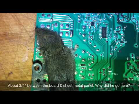 Rodent Rage on a Bosch Gas Range