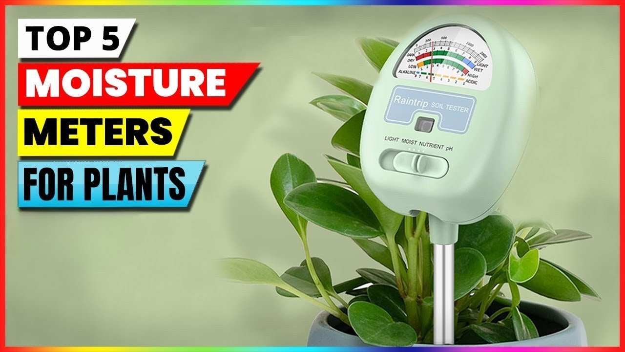 Best Moisture Meters for Plants in 2026 🌿 | Top Picks for Healthy Gardening!