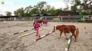 preview picture of video 'Pferdeoase in Ebendorf, Bezirk Mistelbach - Reitverein, Reitunterricht, Reitstall, Niederösterreich'