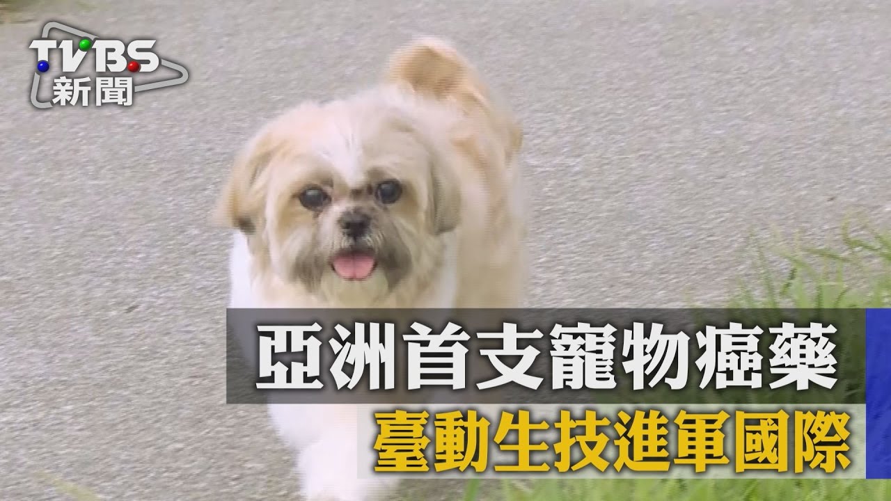 亞洲首支寵物癌藥　臺動生技進軍國際