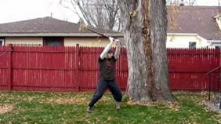 Guard Transition Drill: German Longsword